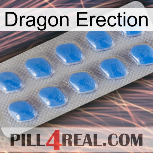 Dragon Erection 22.jpg